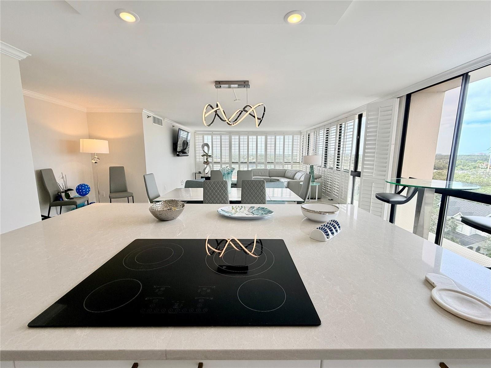 3301 BAYSHORE BLVD #1001E, TAMPA, FL — photo 9