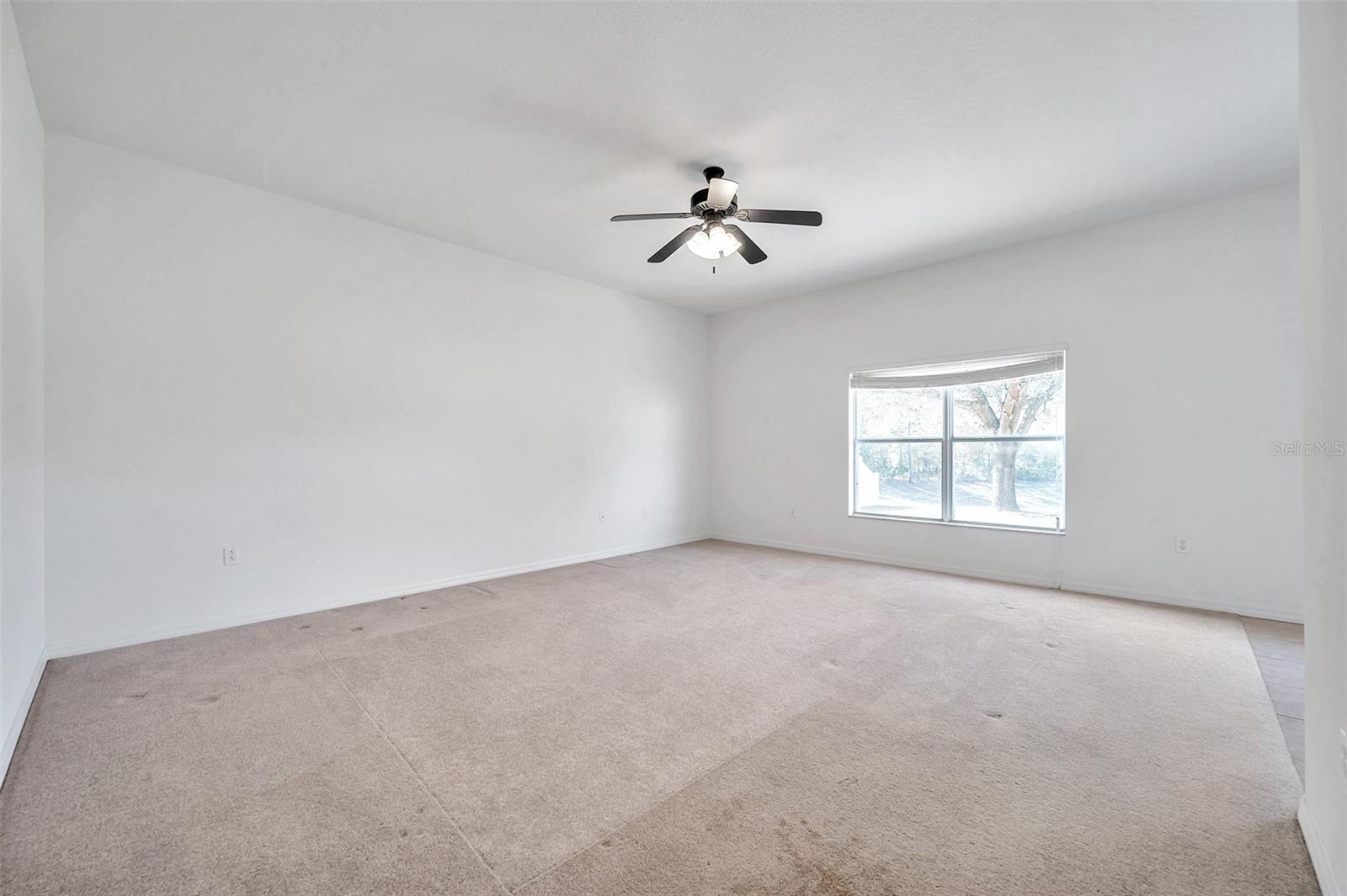 4069 BRAEMERE DR, SPRING HILL, FL — photo 15
