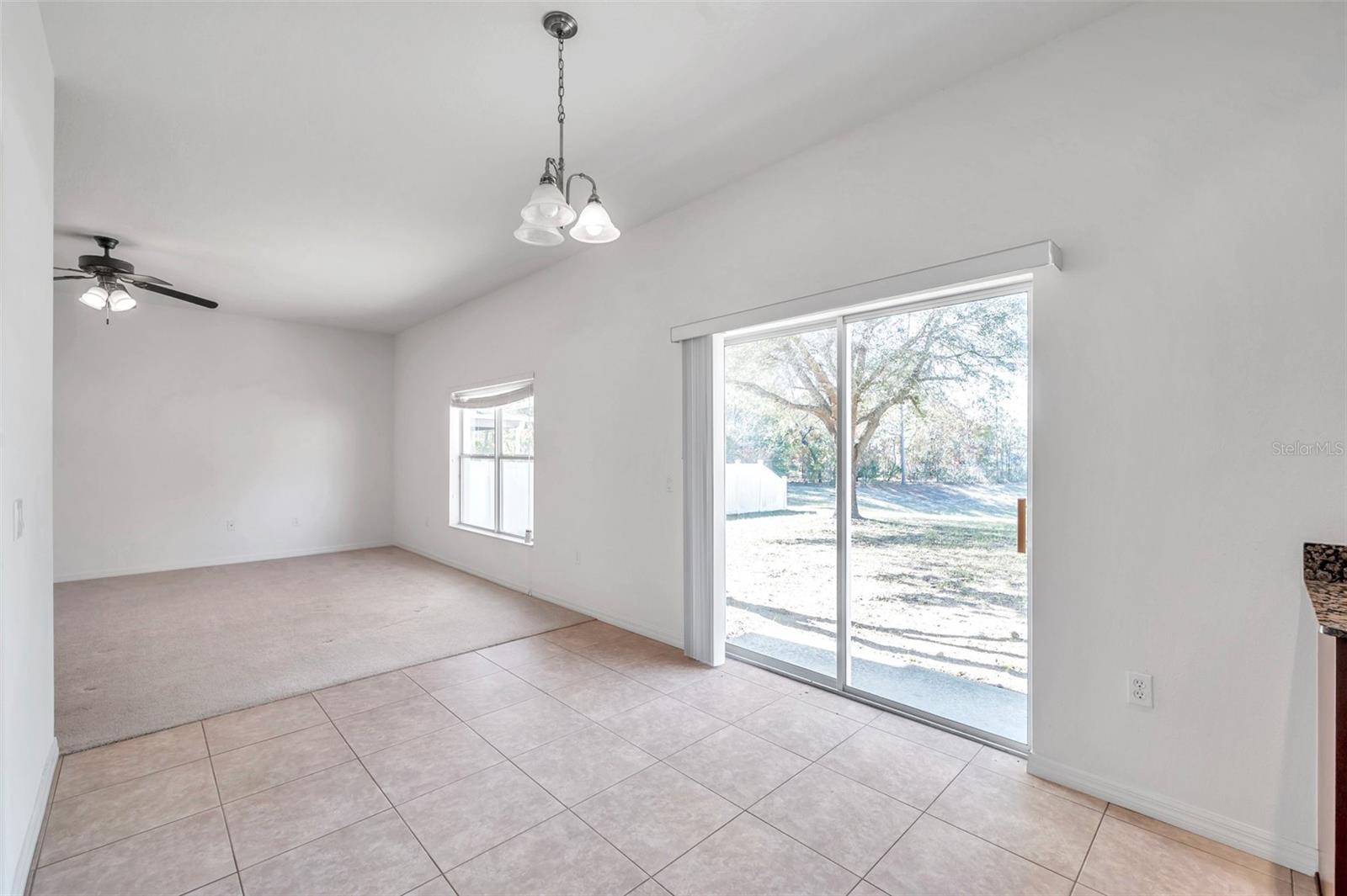 4069 BRAEMERE DR, SPRING HILL, FL — photo 21