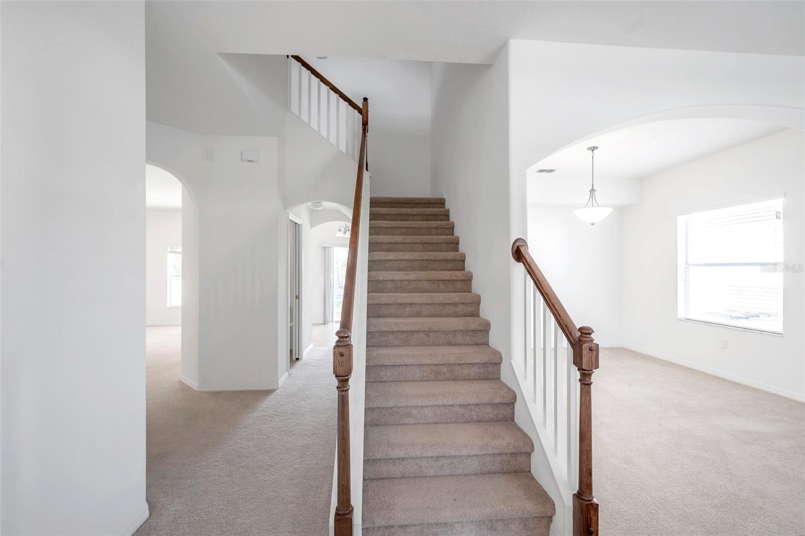4069 BRAEMERE DR, SPRING HILL, FL — photo 49