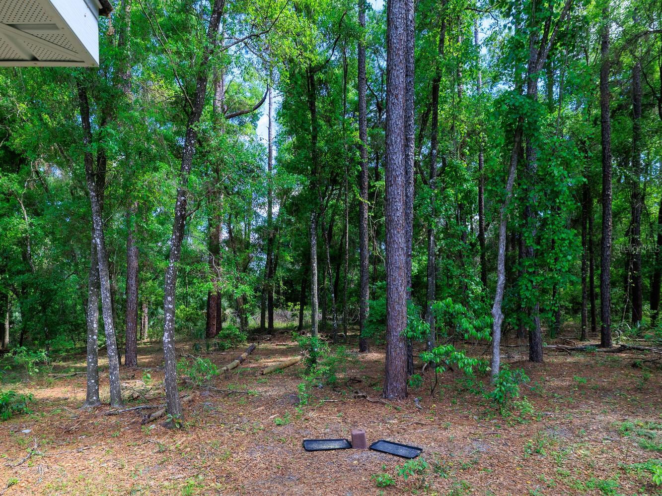 7695 SW 188TH AVE, DUNNELLON, FL — photo 39