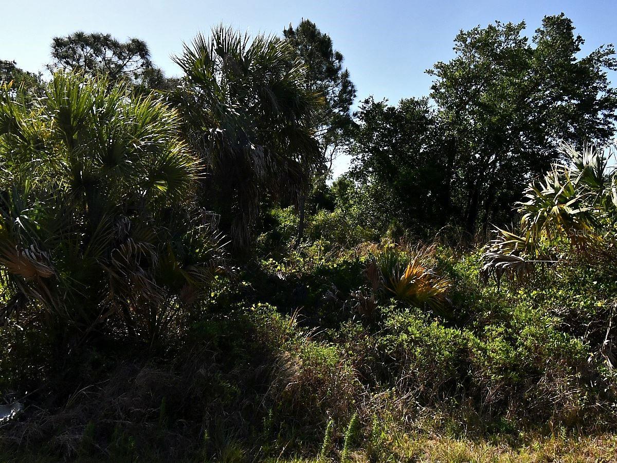 Lot 2 BANNOCK CIR, NORTH PORT, FL — photo 3
