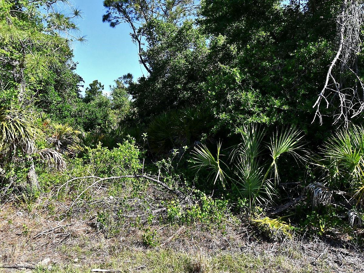 Lot 7 BARCELONA DR, NORTH PORT, FL — photo 3