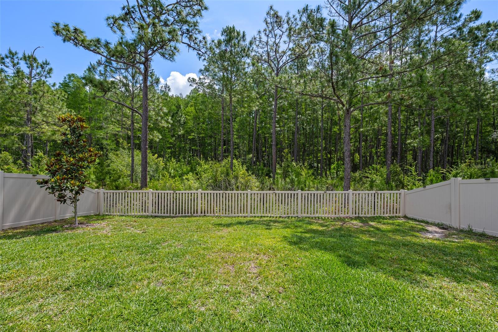 18242 SERENE LAKE LOOP, LUTZ, FL — photo 34
