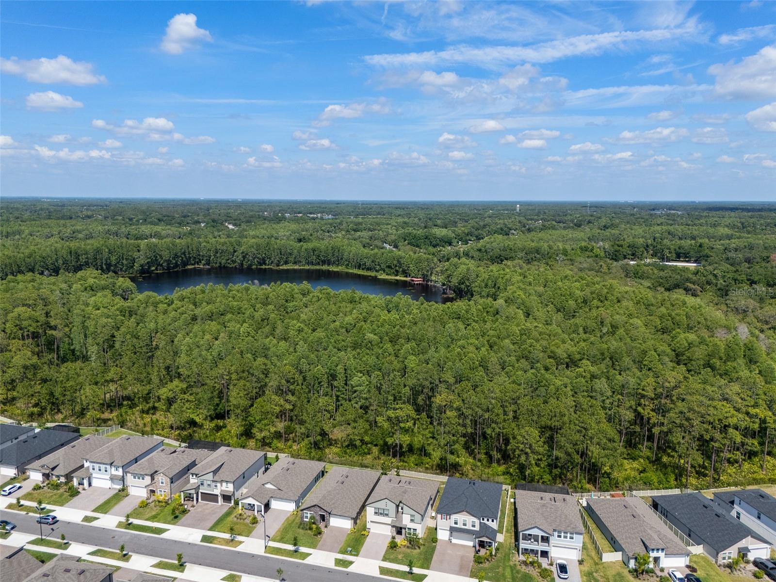18242 SERENE LAKE LOOP, LUTZ, FL — photo 36