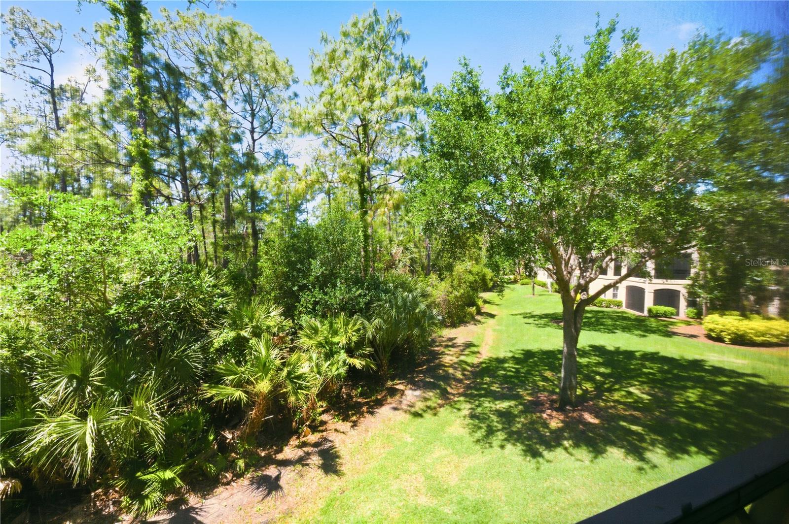 2859 TIBURON BLVD E #102, NAPLES, FL — photo 16