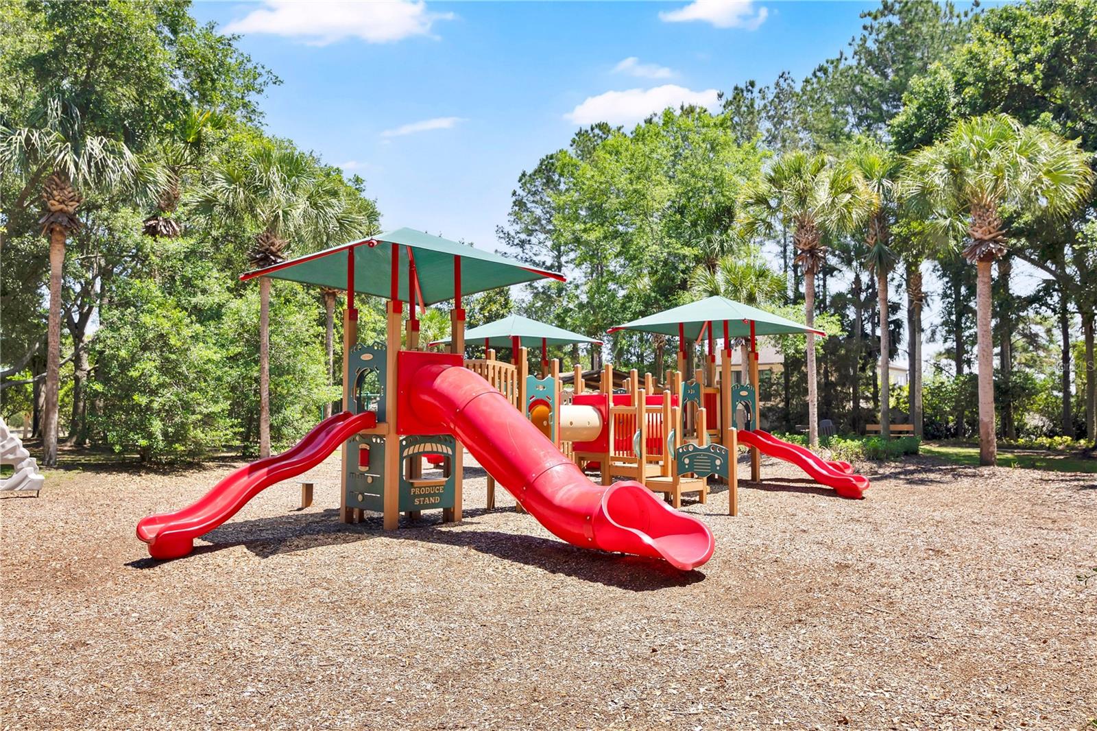 21345 SULLIVAN RANCH BOULEVARD, MOUNT DORA, FL — photo 121