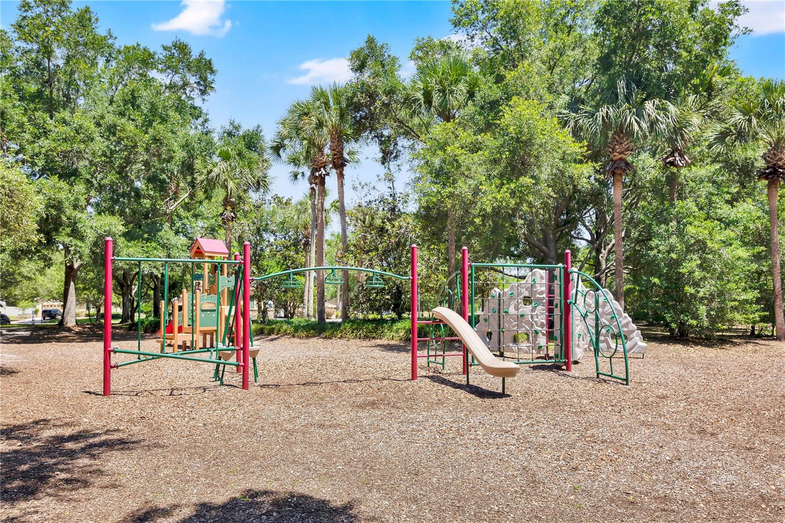 21345 SULLIVAN RANCH BOULEVARD, MOUNT DORA, FL — photo 123