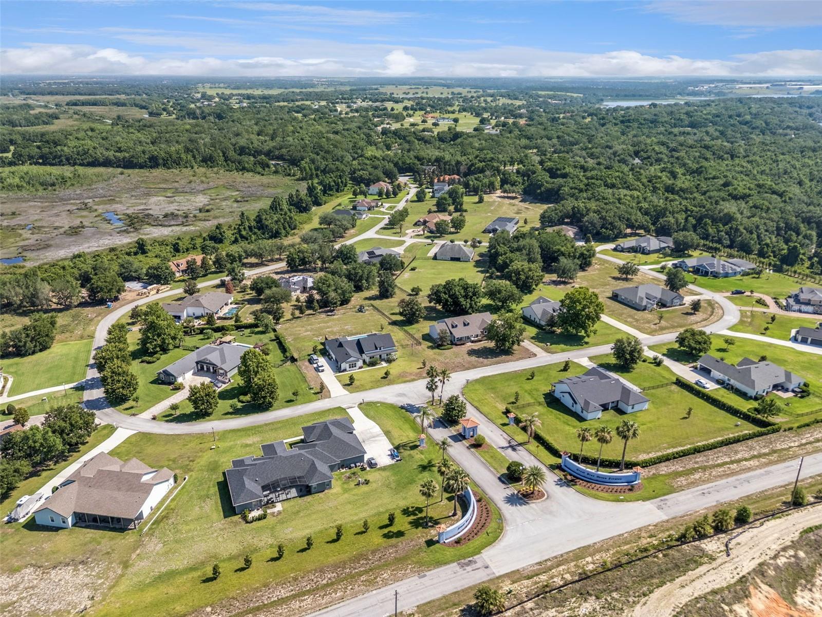 18353 GREAT BLUE HERON DR, GROVELAND, FL — photo 5