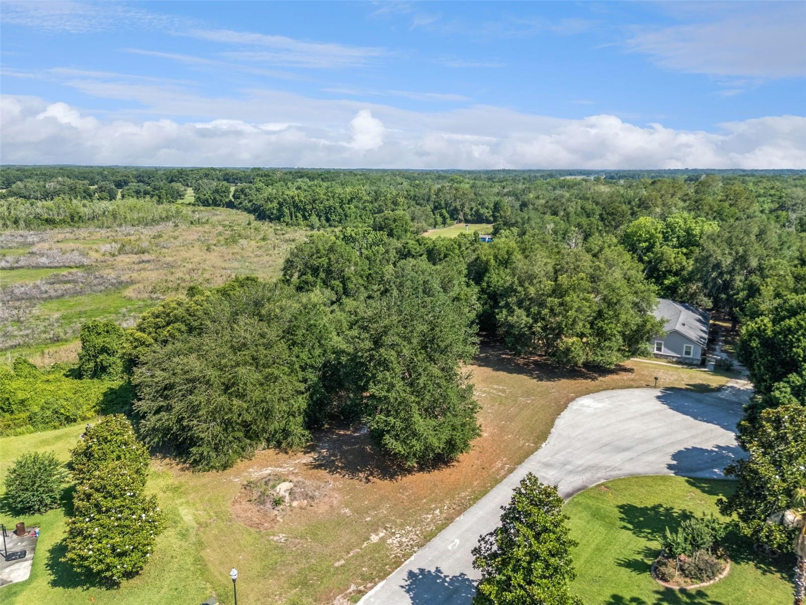 18353 GREAT BLUE HERON DR, GROVELAND, FL — photo 7