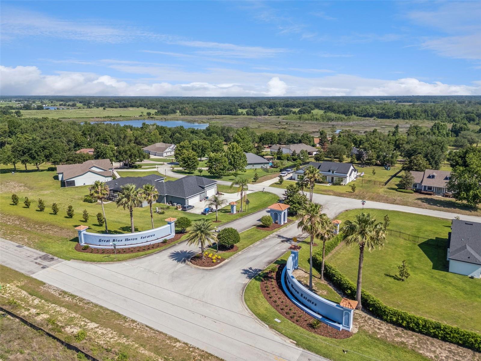 18353 GREAT BLUE HERON DR, GROVELAND, FL — photo 9