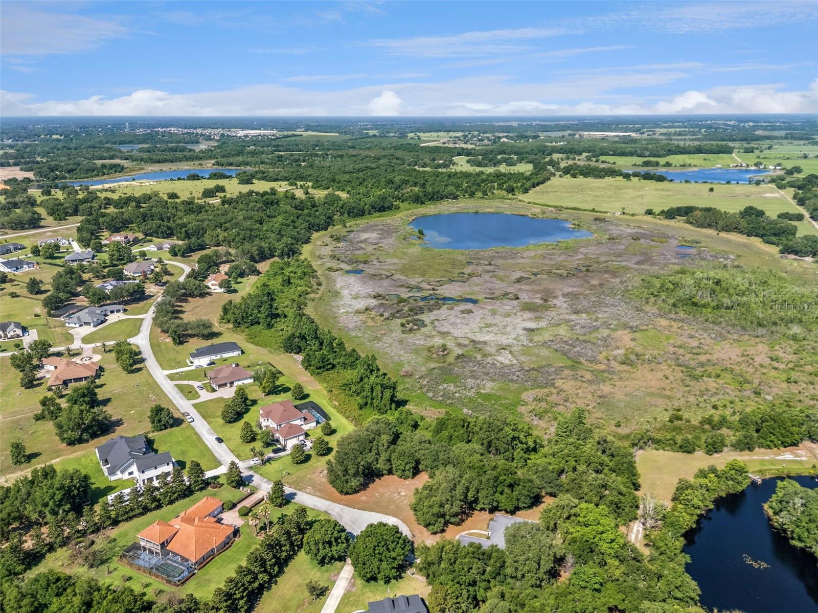 18353 GREAT BLUE HERON DR, GROVELAND, FL — photo 12