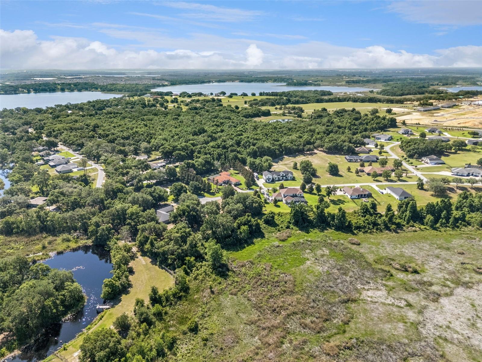 18353 GREAT BLUE HERON DR, GROVELAND, FL — photo 14