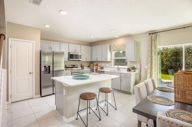 31576 WILD GRAPE LN, BROOKSVILLE, FL — photo 9