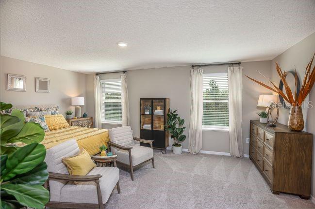 31576 WILD GRAPE LN, BROOKSVILLE, FL — photo 17