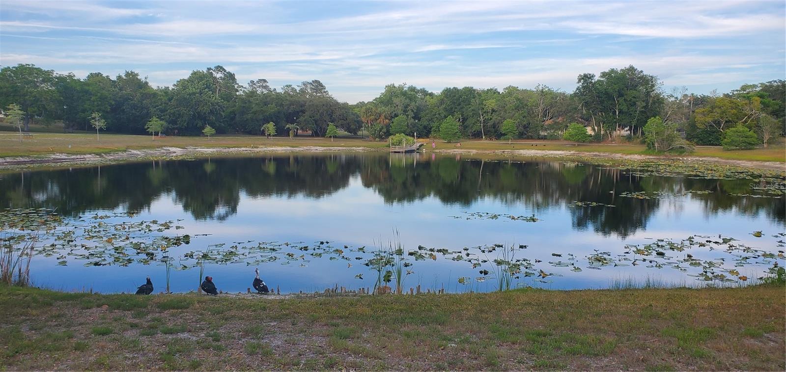7517 JOMEL DR, WEEKI WACHEE, FL — photo 41
