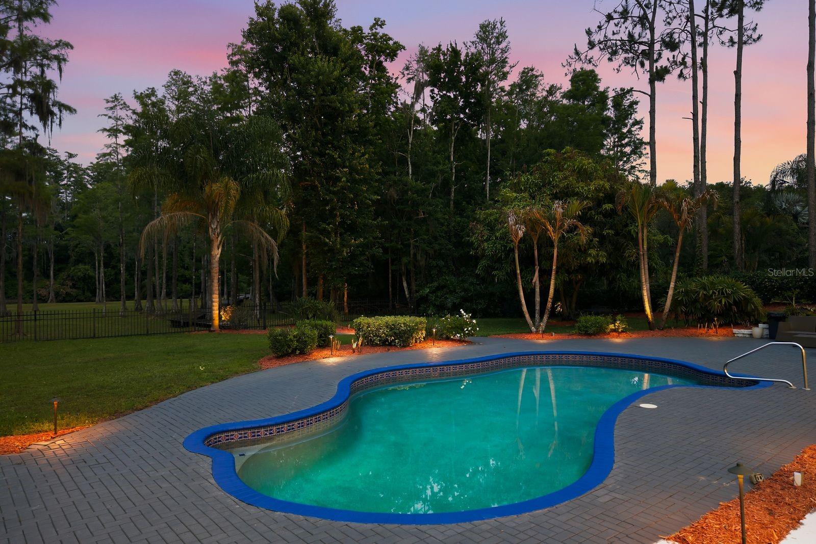 877 CYPRESS LAKEVIEW CT, TARPON SPRINGS, FL — photo 7