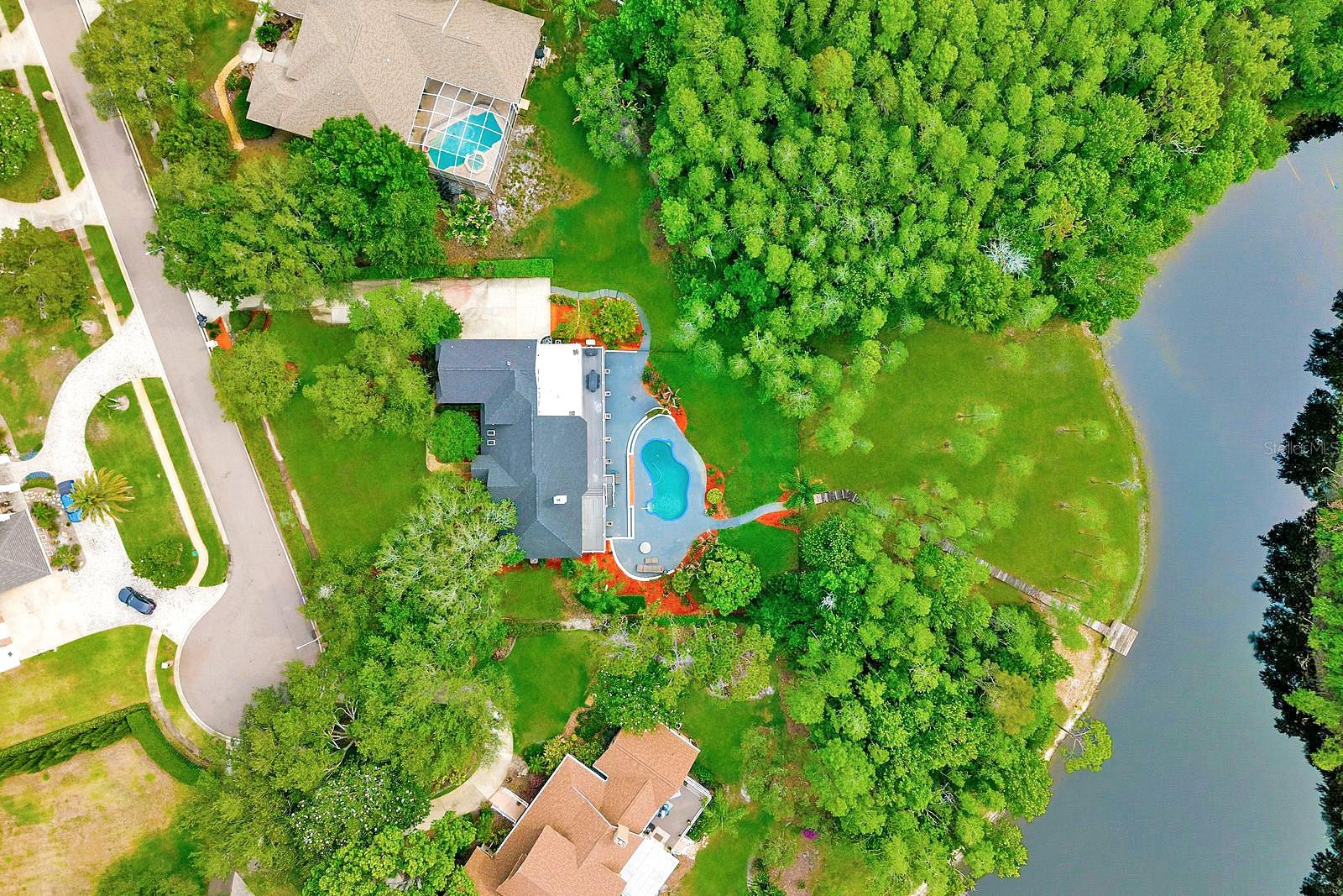 877 CYPRESS LAKEVIEW CT, TARPON SPRINGS, FL — photo 8
