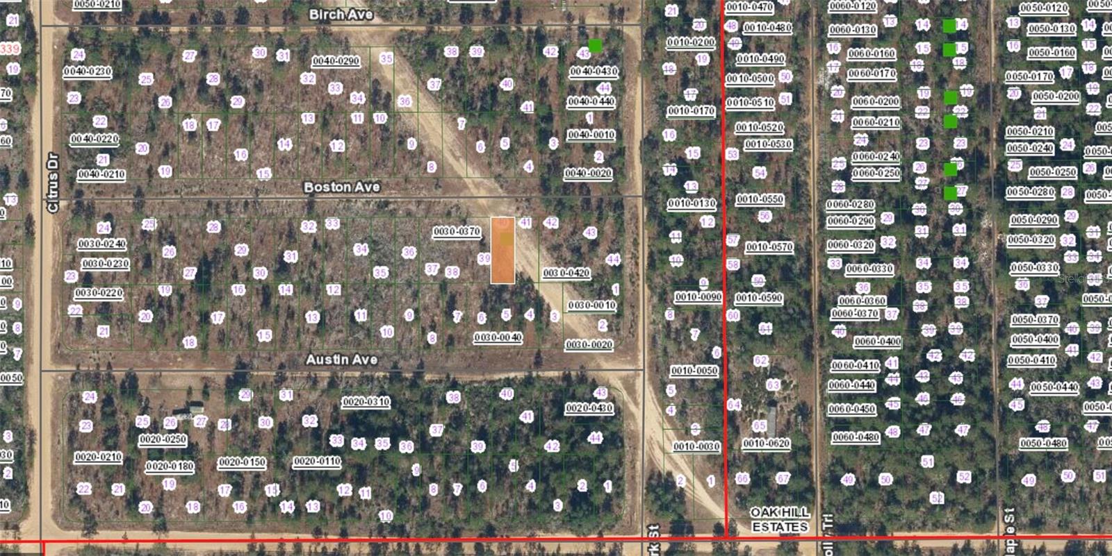 XX BOSTON AVE, INTERLACHEN, FL — photo 2