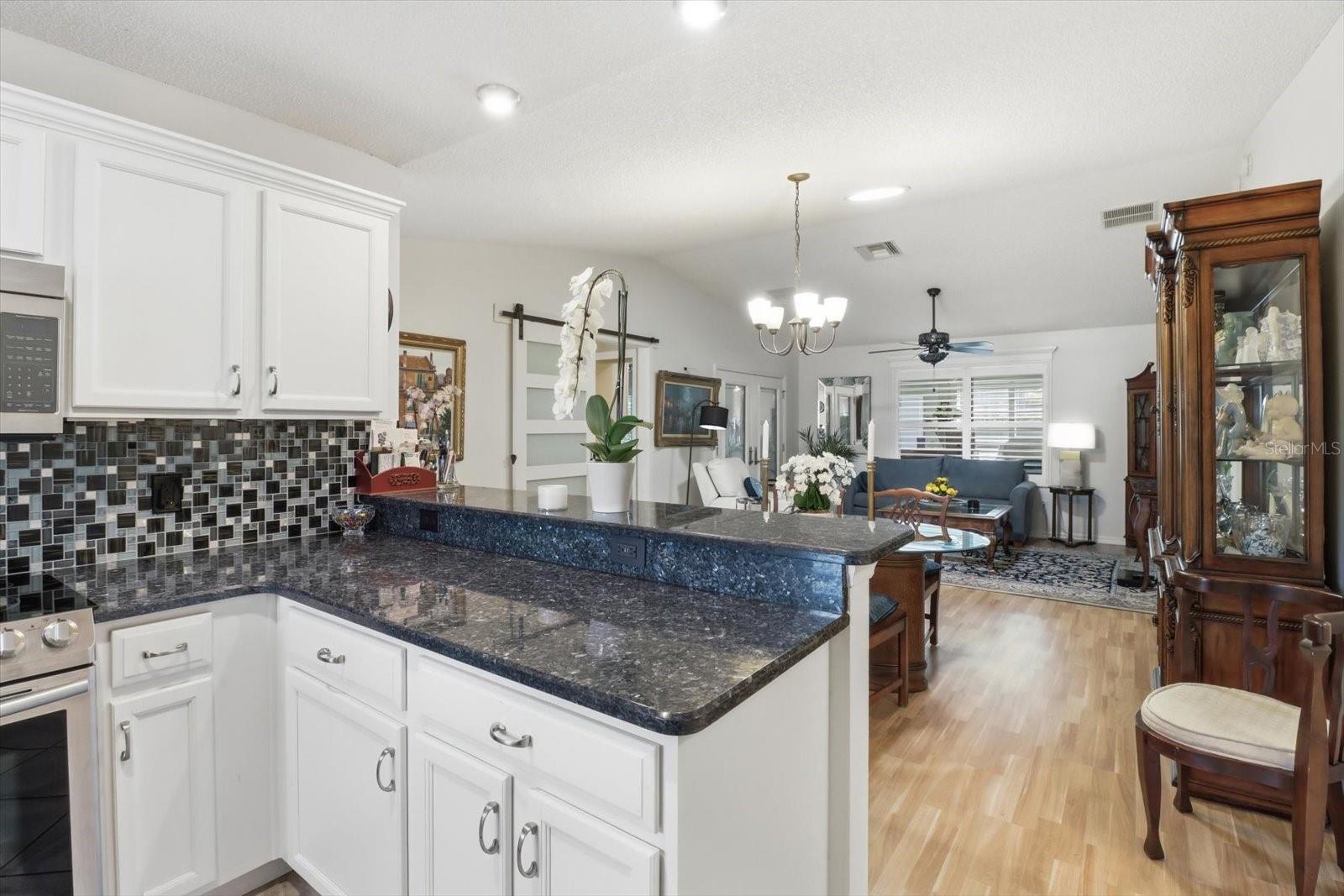 1035 BLYTHE WAY, THE VILLAGES, FL — photo 12