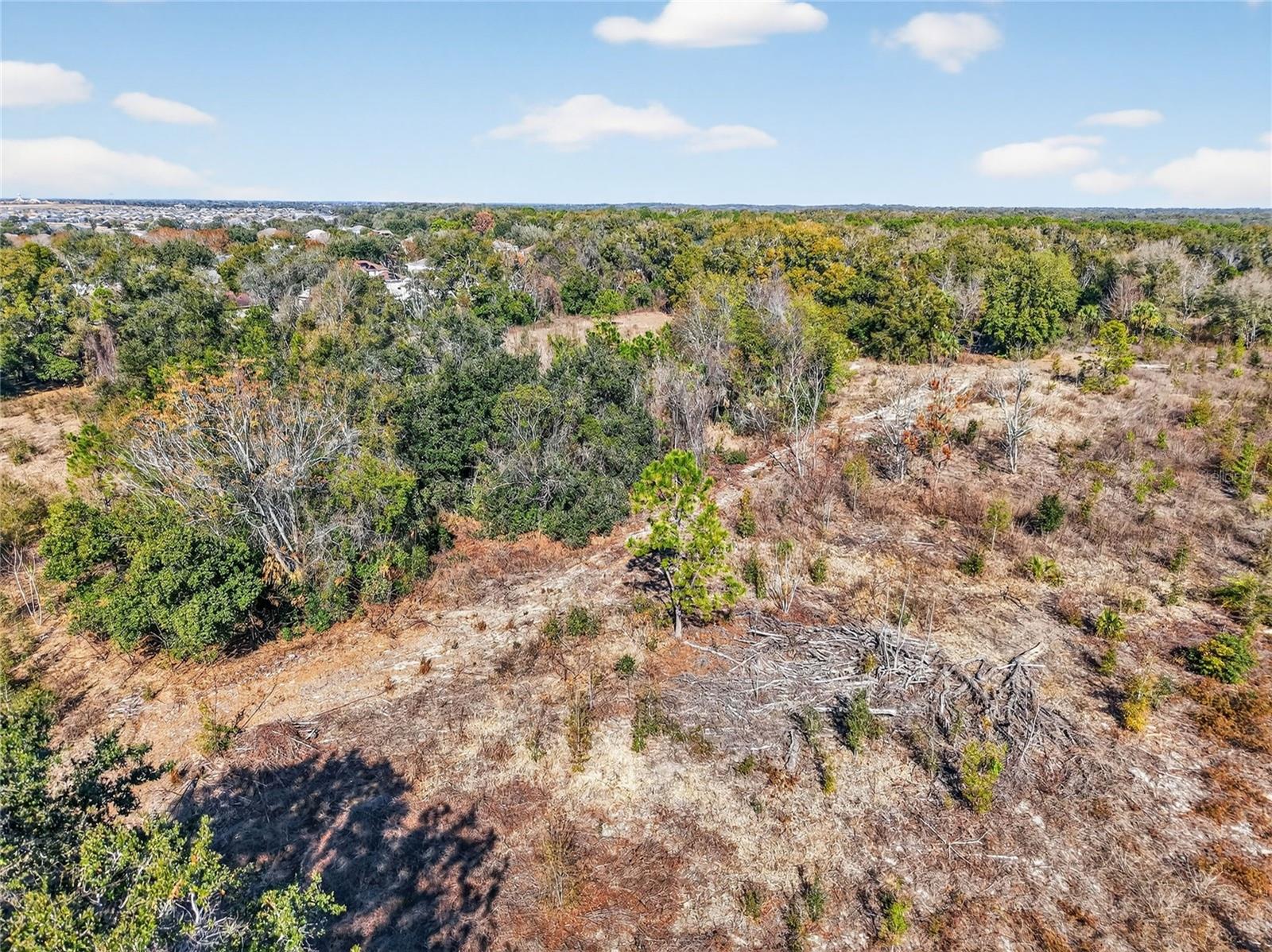 MYRTLE LAKE AVE, FRUITLAND PARK, FL — photo 9