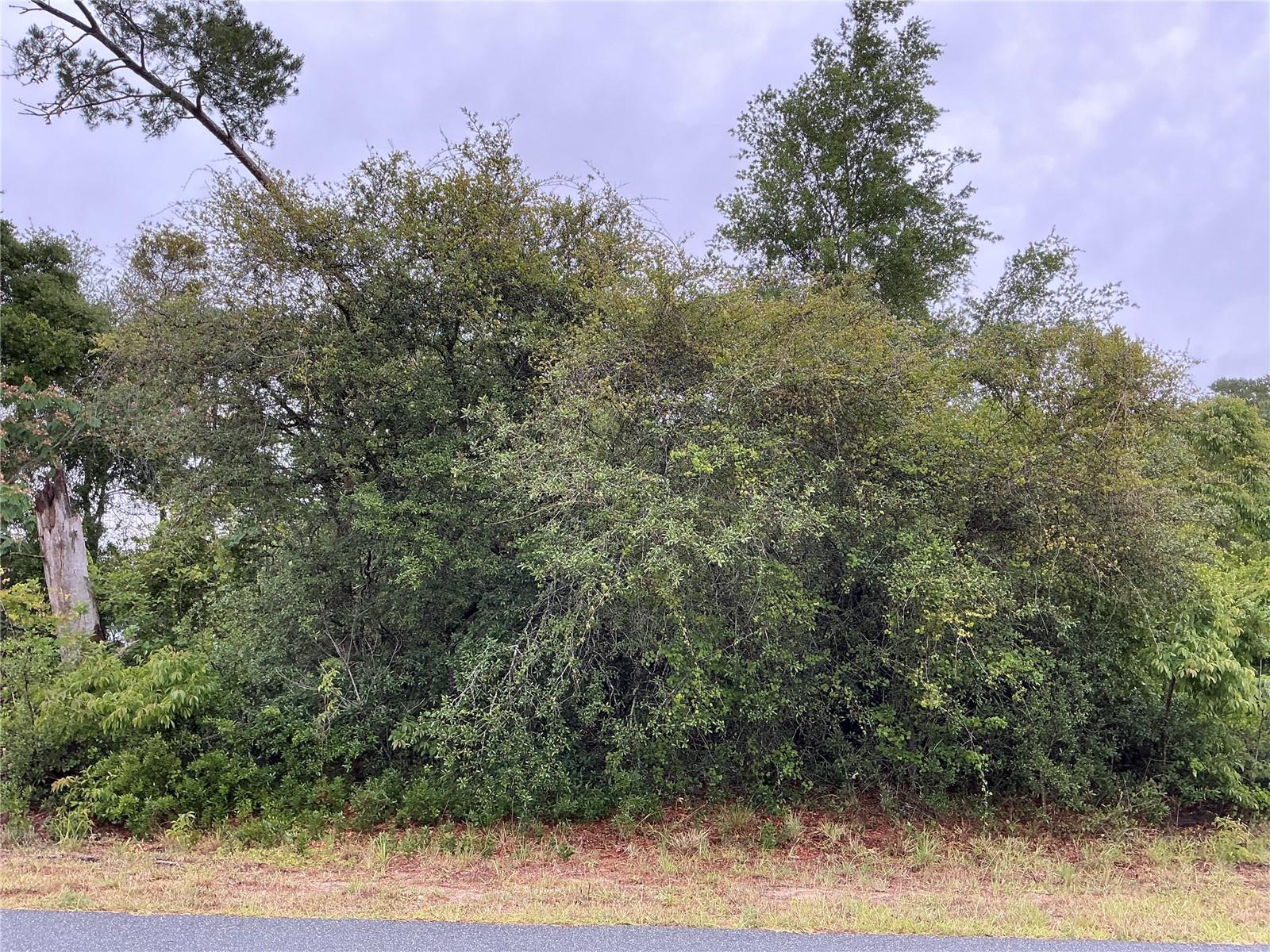 SW 165TH PL, OCALA, FL