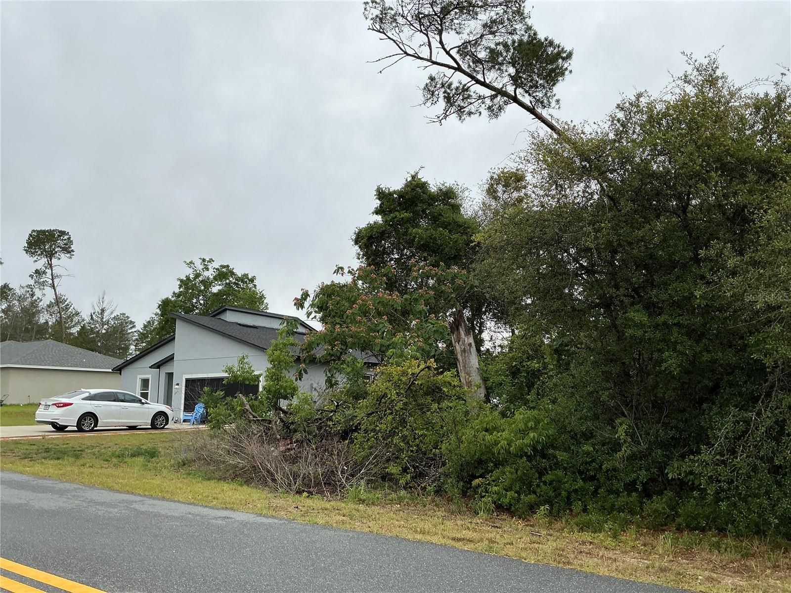 SW 165TH PL, OCALA, FL — photo 3