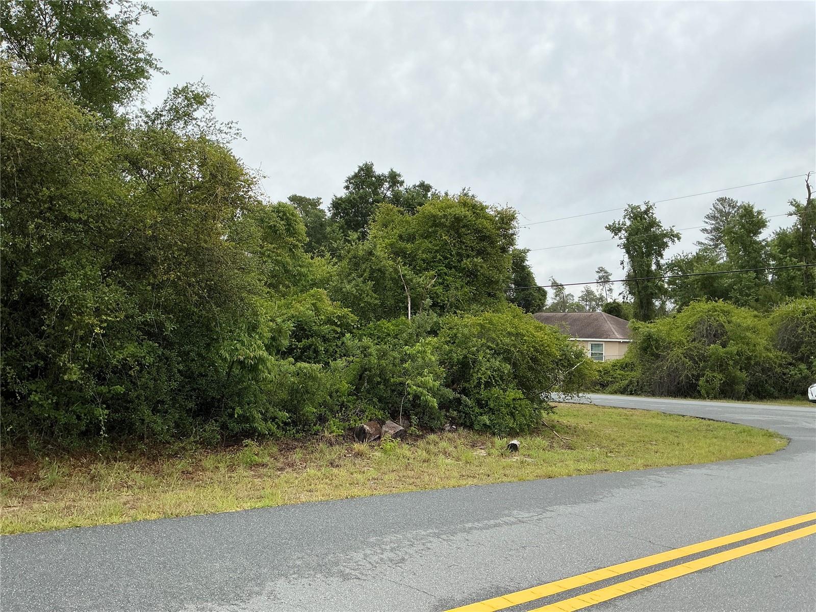 SW 165TH PL, OCALA, FL — photo 4