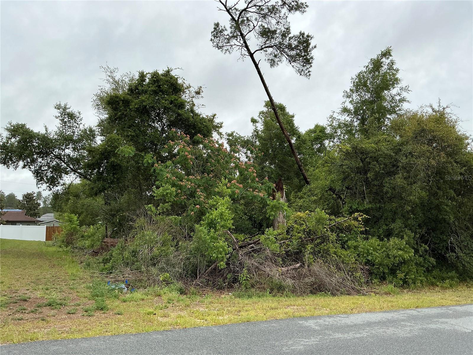 SW 165TH PL, OCALA, FL — photo 5
