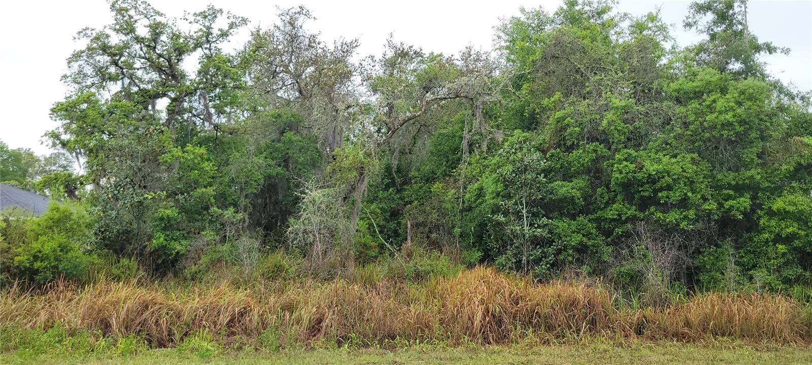 SPRUCE RD, OCALA, FL