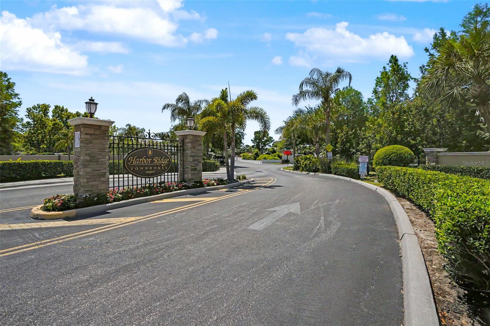 441 HARBOR RIDGE DR, PALM HARBOR, FL — photo 4
