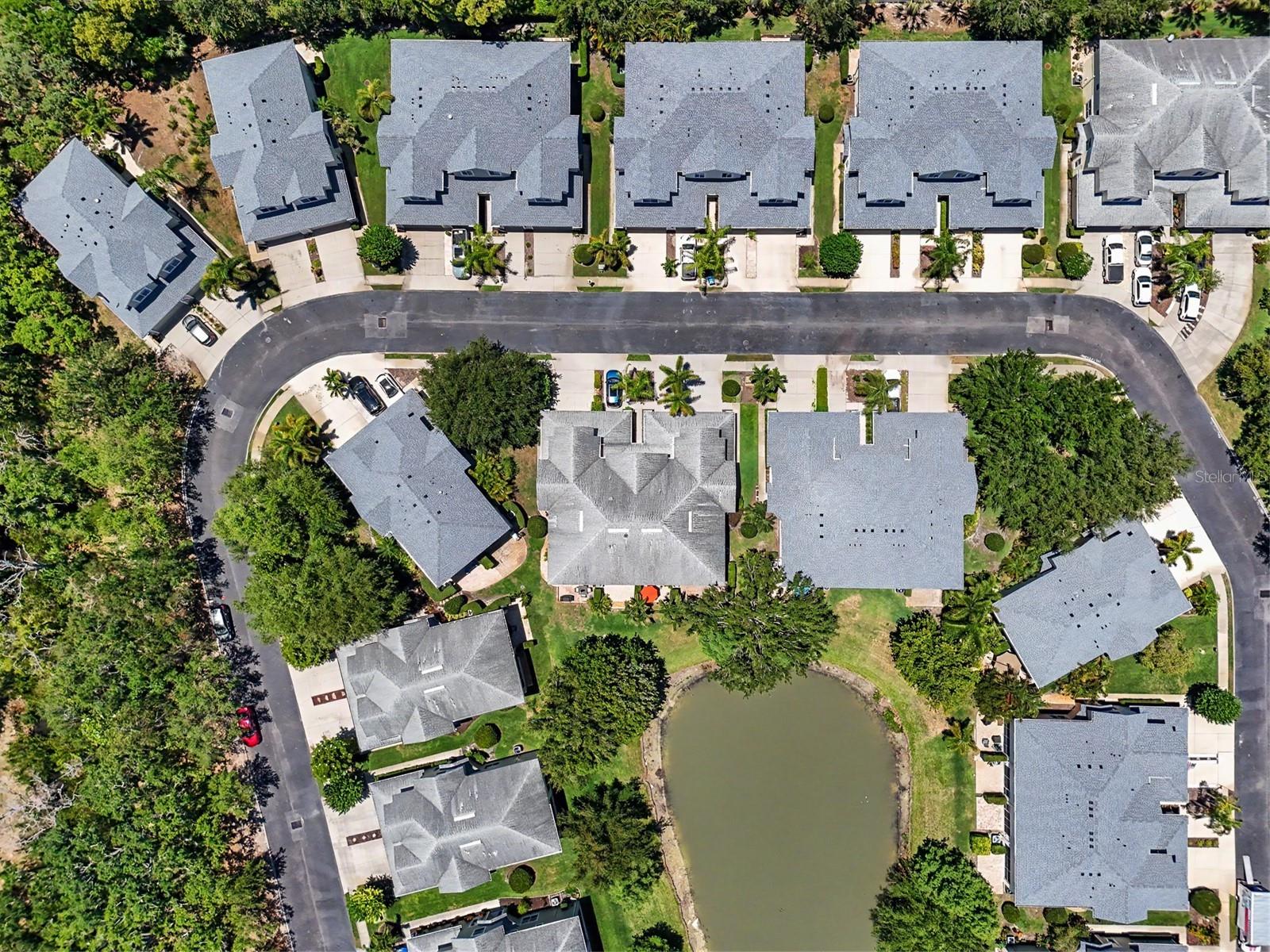 441 HARBOR RIDGE DR, PALM HARBOR, FL — photo 48