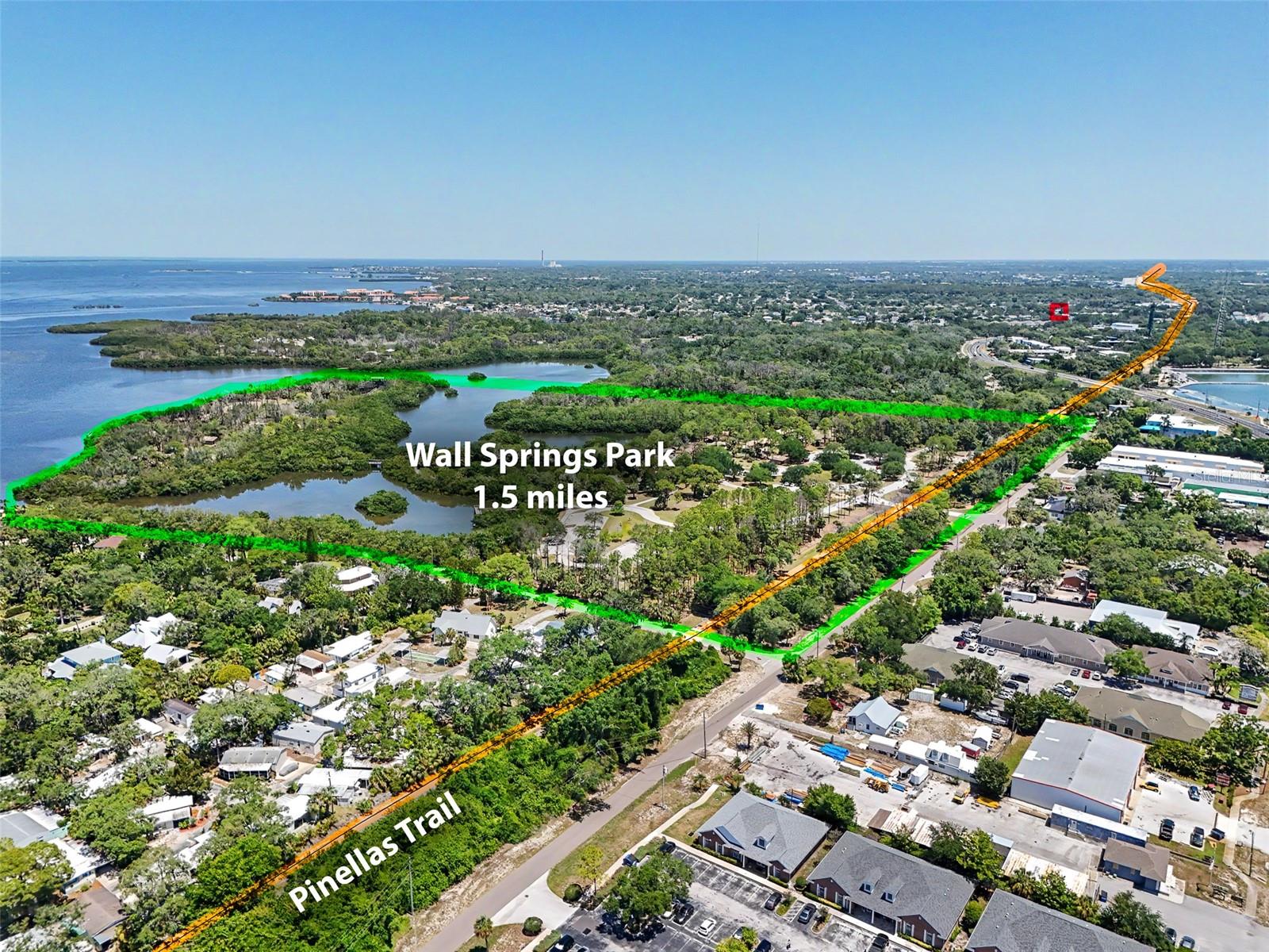 441 HARBOR RIDGE DR, PALM HARBOR, FL — photo 49