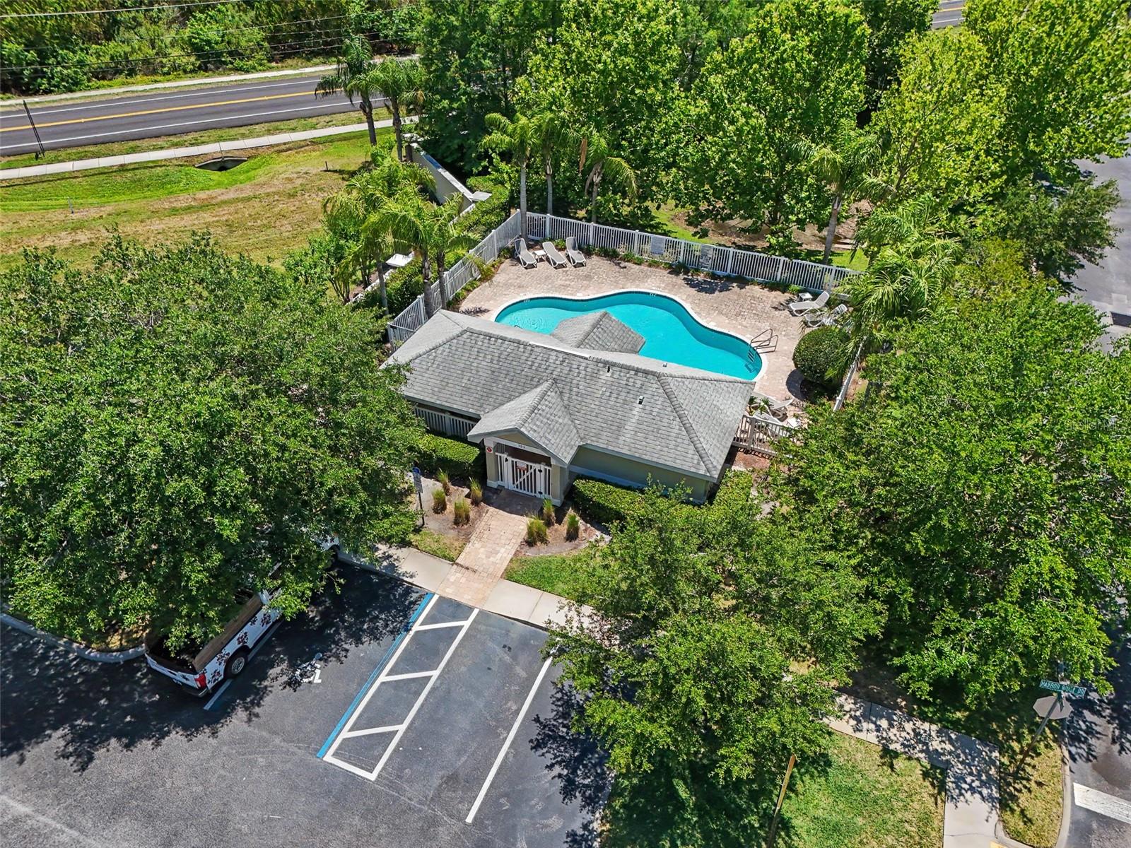 441 HARBOR RIDGE DR, PALM HARBOR, FL — photo 51