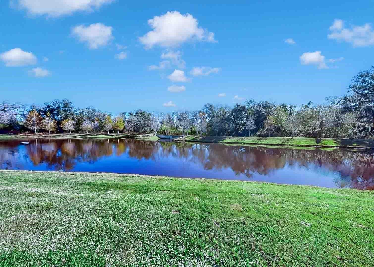 16454 WOODSIDE GLN, PARRISH, FL — photo 44