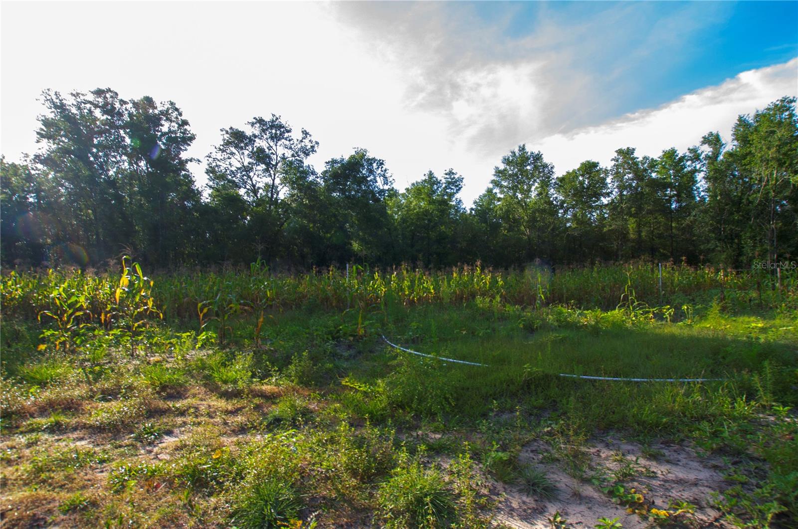 18233 185TH RD, LIVE OAK, FL — photo 55
