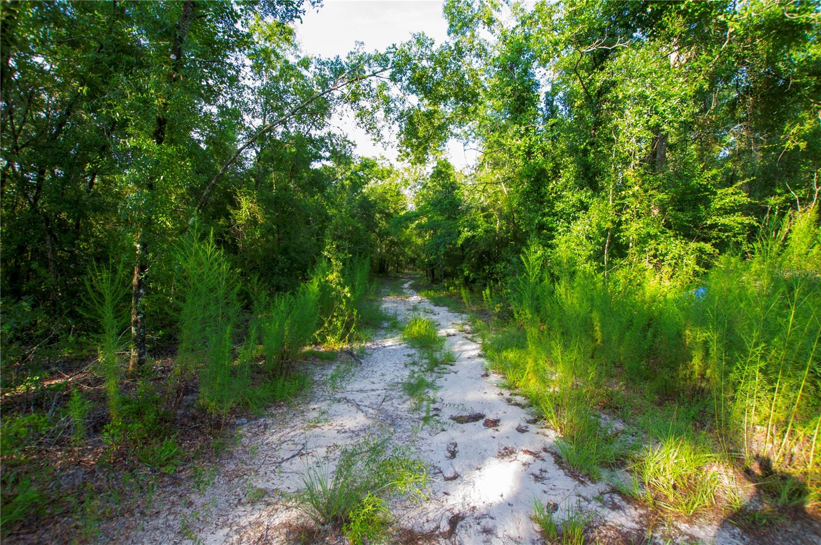 18233 185TH RD, LIVE OAK, FL — photo 57