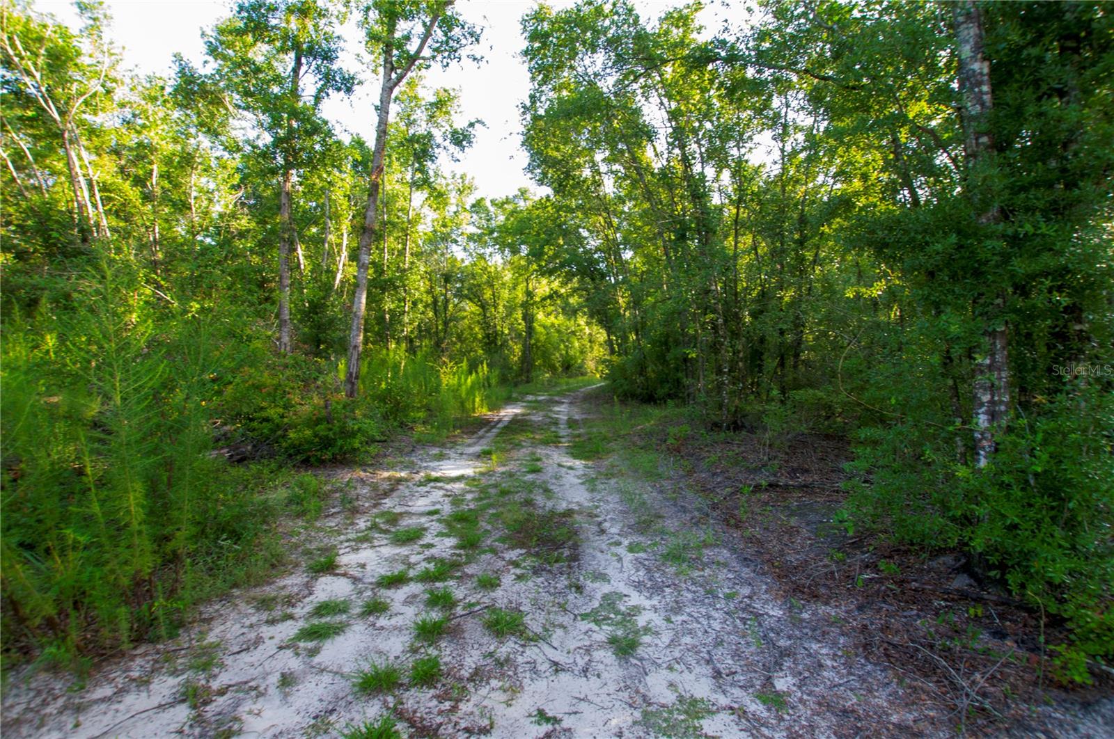 18233 185TH RD, LIVE OAK, FL — photo 58