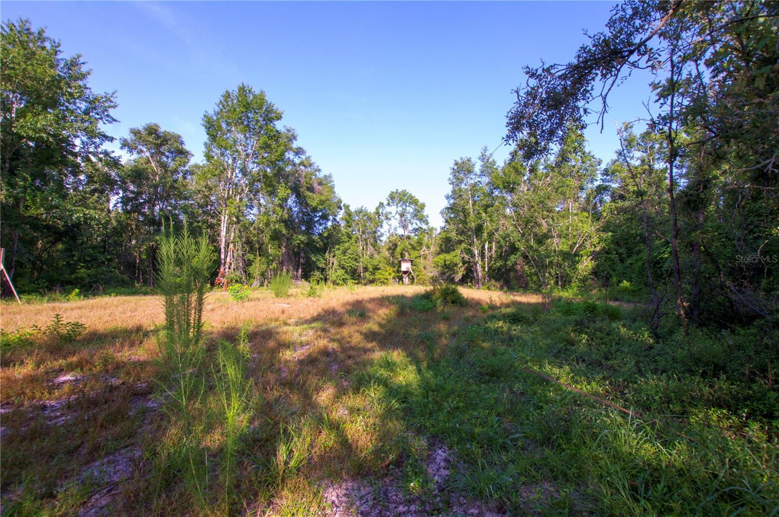 18233 185TH RD, LIVE OAK, FL — photo 59