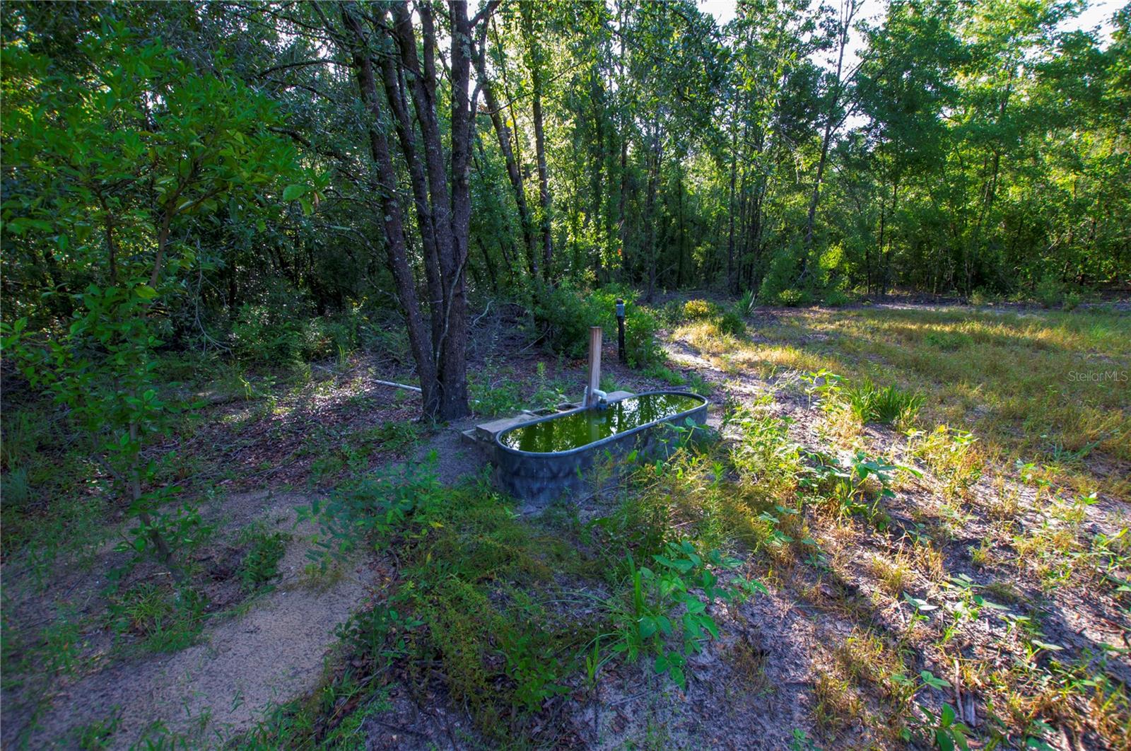 18233 185TH RD, LIVE OAK, FL — photo 60