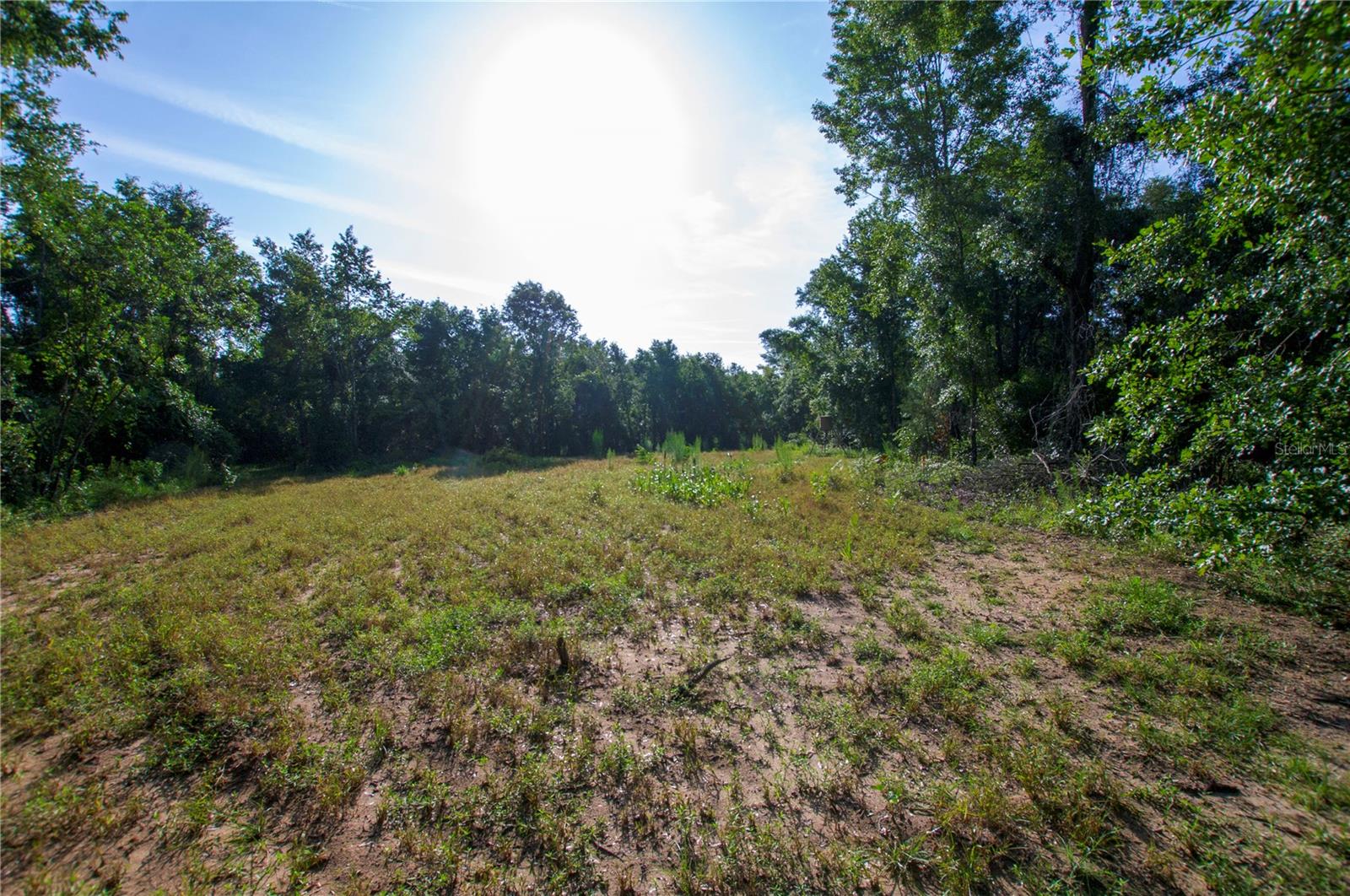 18233 185TH RD, LIVE OAK, FL — photo 63