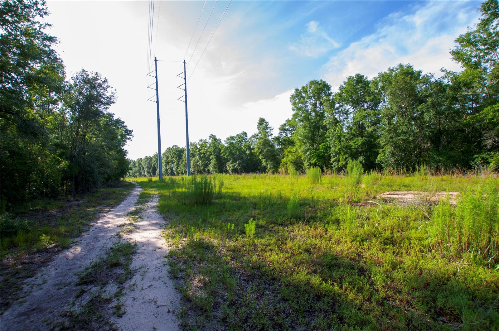 18233 185TH RD, LIVE OAK, FL — photo 68