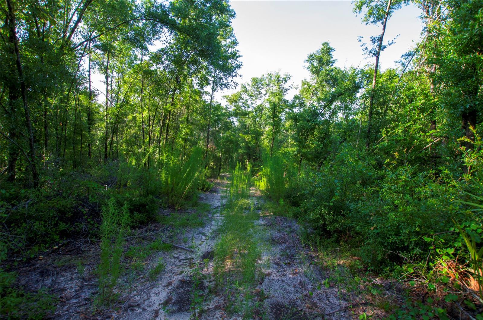 18233 185TH RD, LIVE OAK, FL — photo 69