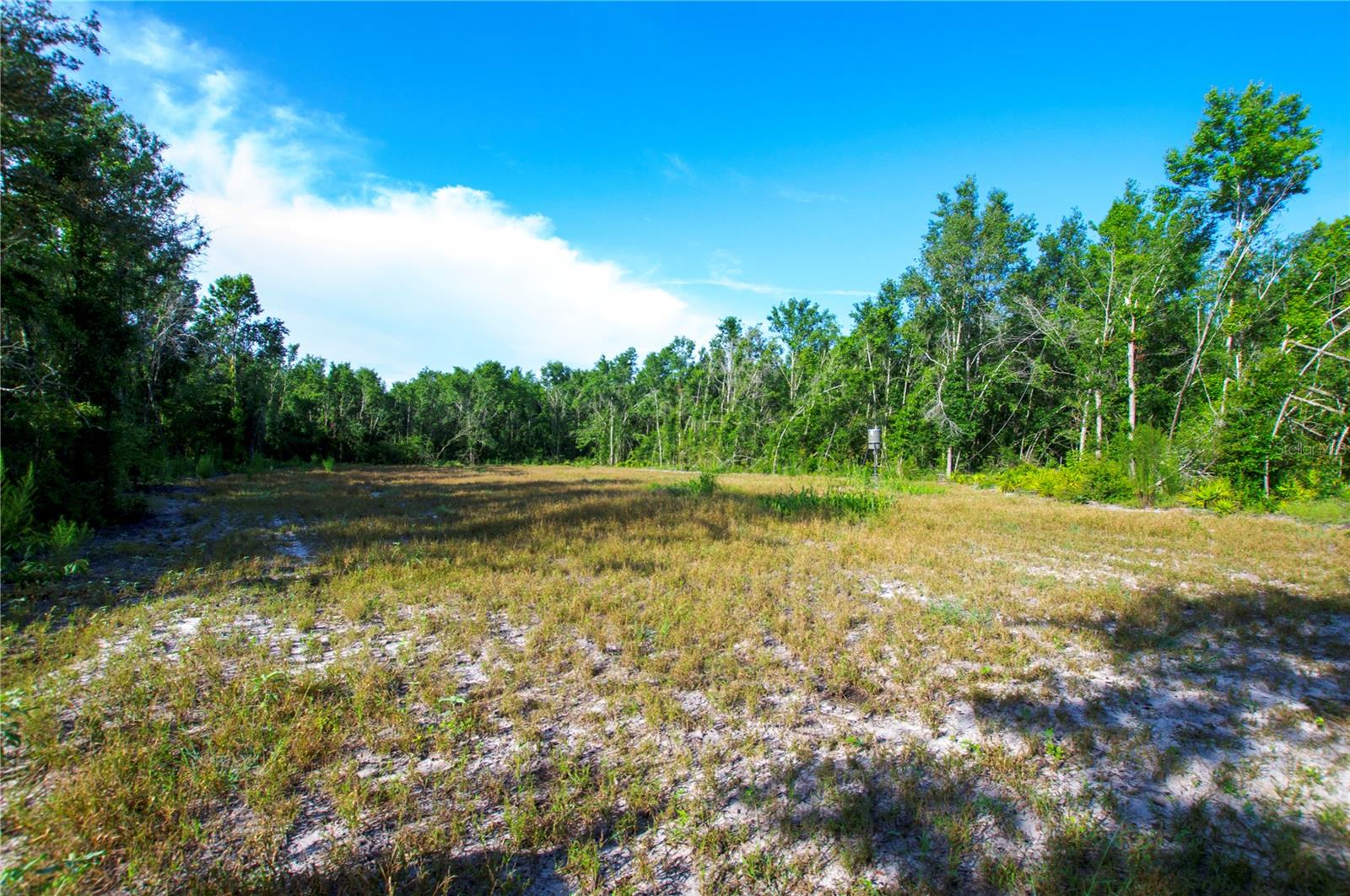 18233 185TH RD, LIVE OAK, FL — photo 70