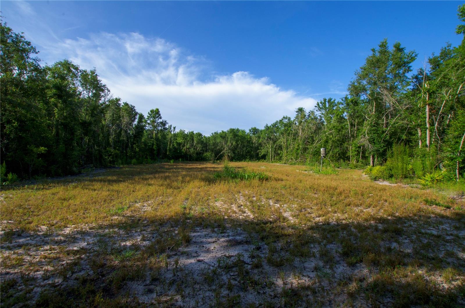 18233 185TH RD, LIVE OAK, FL — photo 71