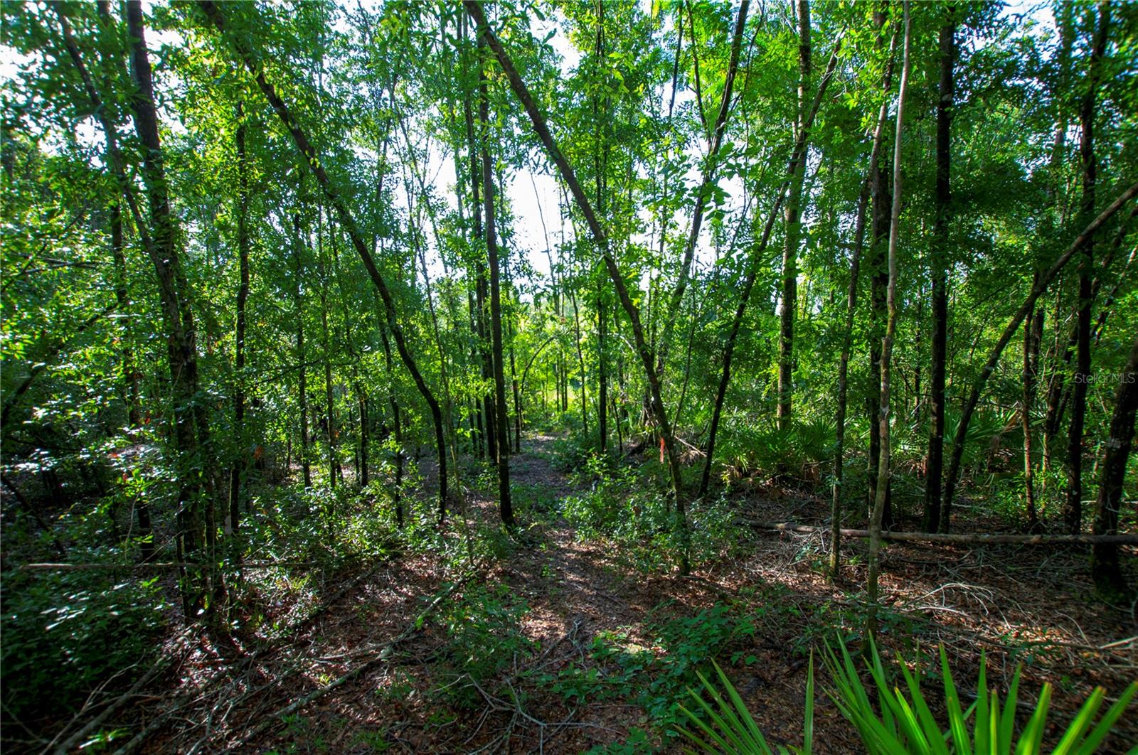 18233 185TH RD, LIVE OAK, FL — photo 75