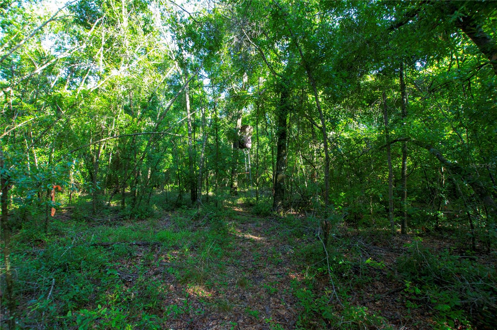 18233 185TH RD, LIVE OAK, FL — photo 76