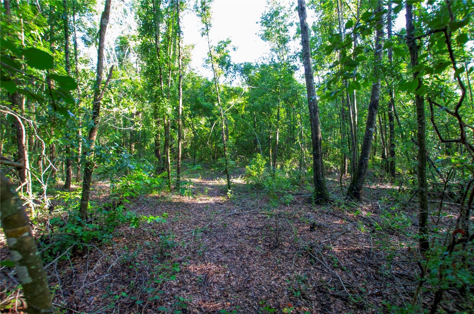 18233 185TH RD, LIVE OAK, FL — photo 80