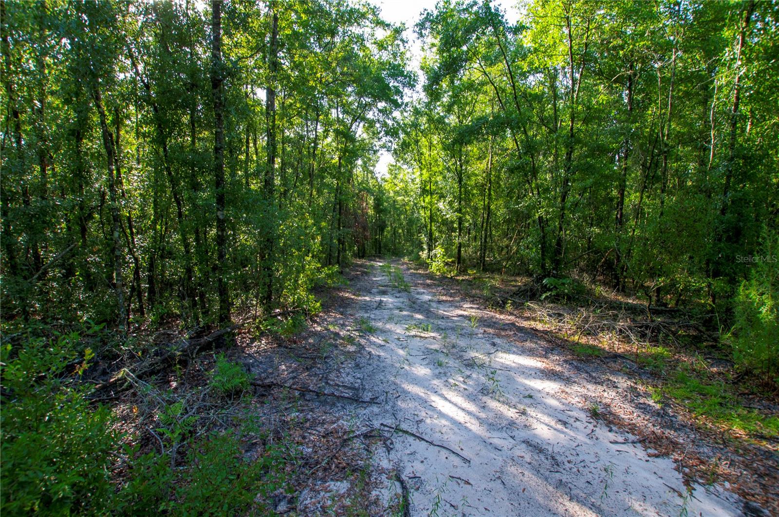 18233 185TH RD, LIVE OAK, FL — photo 83