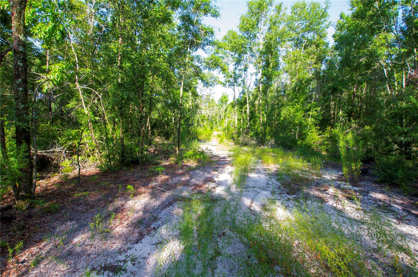 18233 185TH RD, LIVE OAK, FL — photo 84